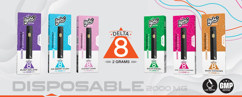 Lipht Delta 8 Rechargeable Disposable 2 Grams 2000MG 1ct