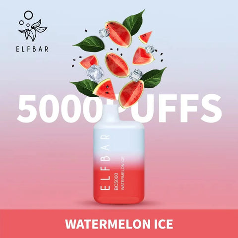Elf Bar BC5000 Rechargeable Disposable Kit 5000 Puffs 650mAh 1 ct