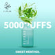 Elf Bar BC5000 Rechargeable Disposable Kit 5000 Puffs 650mAh 1 ct